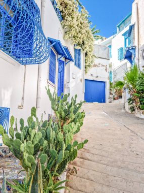Sidi Bou Said köyü, Kartaca, Tunus