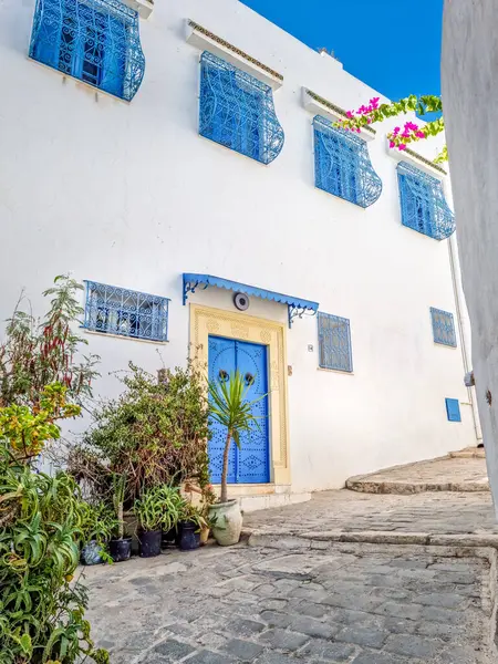 シディ ブーの村は言った カルタゴ チュニジア ストック写真