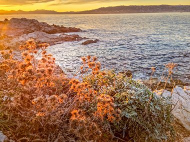 Güney Fransa 'da, gün batımında Cap d' Antibes 'de manzara