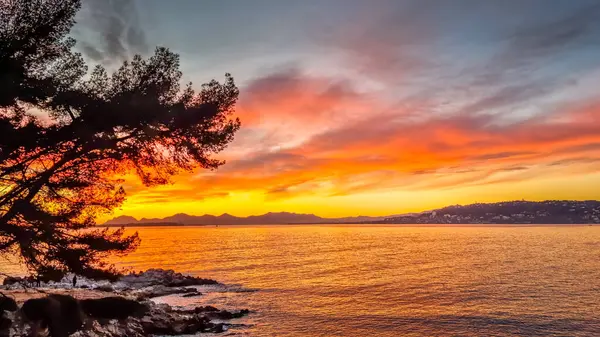 stock image Landscape in the Cap d'Antibes during a sunset, South of France