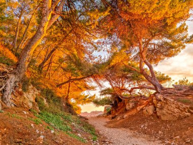 Kaptan d 'Antibes gün batımında Fransa' nın güneyinde