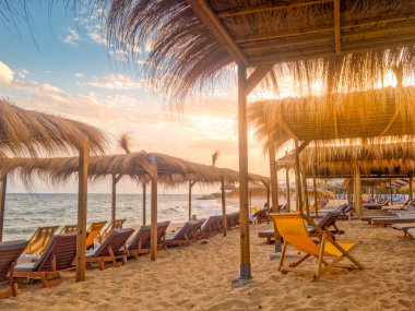 Hammamet, Tunus 'ta bir plajda manzara