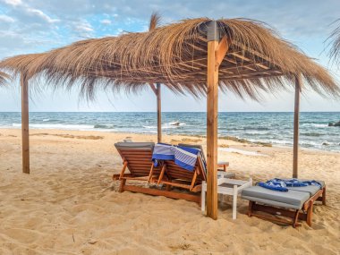 Hammamet, Tunus 'ta bir plajda manzara