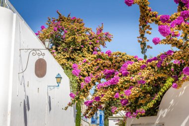 Sidi Bou Said köyü, Kartaca, Tunus