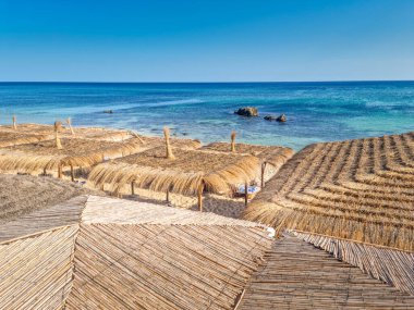 Hammamet, Tunus 'ta bir plajda manzara