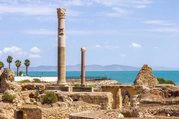 Arkeolojik Kartaca, Tunus