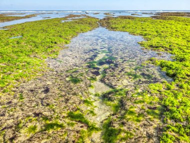 Endonezya, Bali 'deki Melasti Plajı