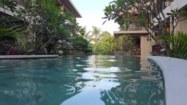 Tropikal bitkiler, Ubud, Bali, Endonezya ile dinlenme havuzu