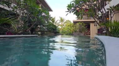 Tropikal bitkiler, Ubud, Bali, Endonezya ile dinlenme havuzu