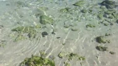 Endonezya, Bali 'deki Melasti Plajı