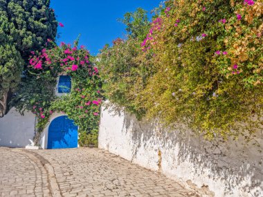 Sidi Bou Said köyü, Kartaca, Tunus