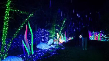 Peaugres, Fransa - 27 Ocak 2024: Wow Safari Peaugres 'de hafif dekorasyon. Işık festivali 2000 'den fazla heykele sahip ve 2,5 km uzunluğunda..