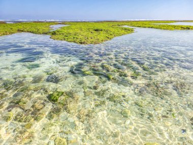 Endonezya, Bali 'deki Melasti Plajı