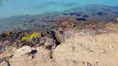 Porquerolles plajı, Fransız Rivierası