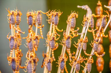 Çin sokak pazarında akrepler