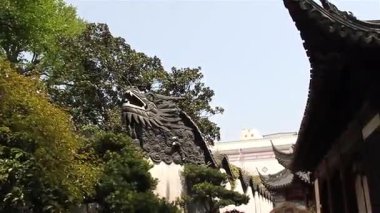 Çince ejderha yuyuan Bahçe, shanghai, Çin