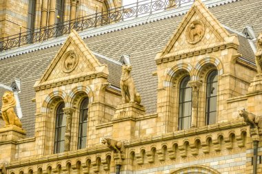 Doğal Tarih Müzesi Londra, İngiltere