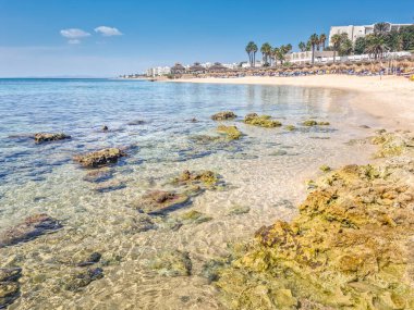 Hammamet, Tunus 'ta bir plajda manzara