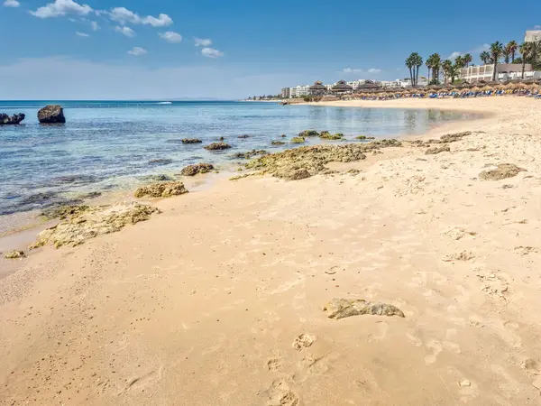 Hammamet, Tunus 'ta bir plajda manzara