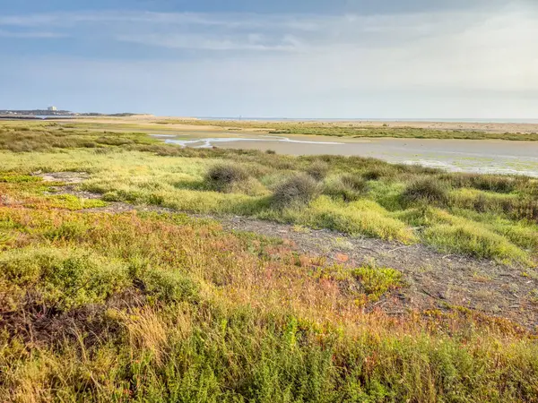 Portekiz, Esposende 'deki Kuzey Littoral Doğal Parkı' ndaki Cavado Nehri.