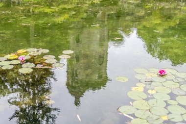 Forjaes, Portekiz 'de Quinta de Curvos