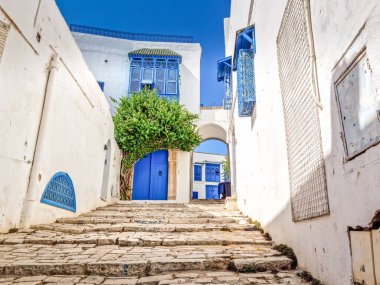 Sidi Bou Said köyü, Kartaca, Tunus