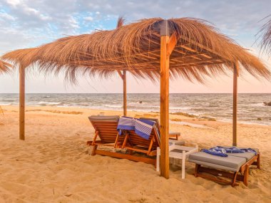 Hammamet, Tunus 'ta bir plajda manzara