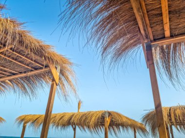 Hammamet, Tunus 'ta bir plajda manzara