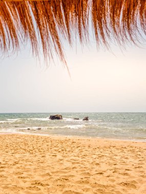 Hammamet, Tunus 'ta bir plajda manzara