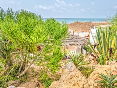 Hammamet, Tunus 'ta bir plajda manzara