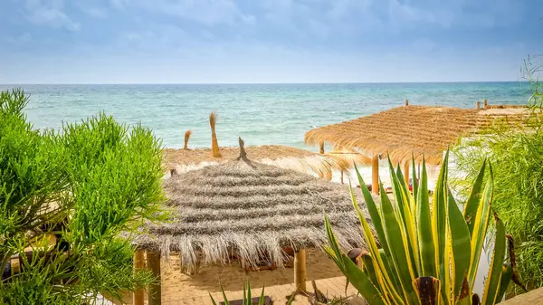 Hammamet, Tunus 'ta bir plajda manzara