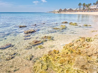 Hammamet, Tunus 'ta bir plajda manzara