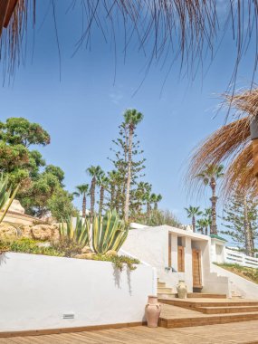 Hammamet, Tunus 'ta bir plajda manzara