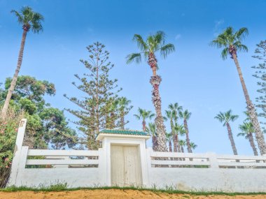 Hammamet, Tunus 'ta bir plajda manzara