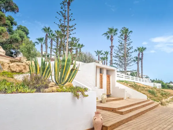 Hammamet, Tunus 'ta bir plajda manzara