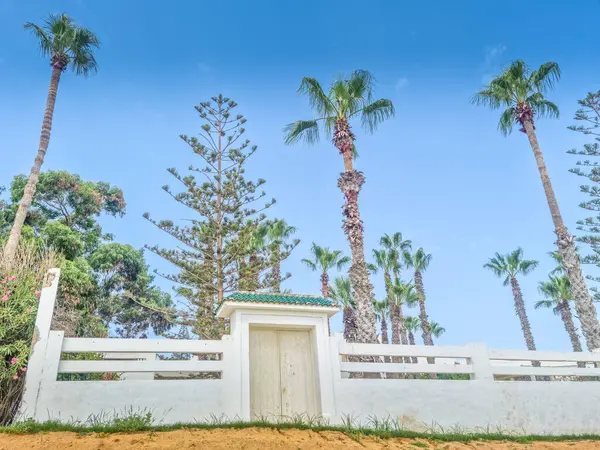 Hammamet, Tunus 'ta bir plajda manzara