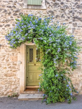 Güney Fransa 'da, Provence, Maussane-les-Alpilles' de çiçeklerle süslenmiş kapı.