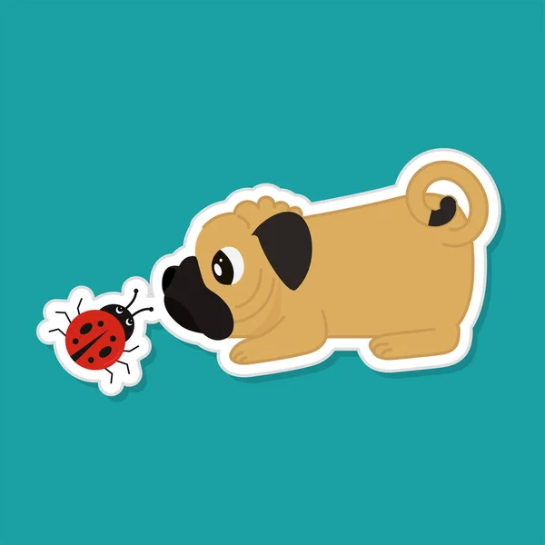 带斗牛犬的Sticker Style Cute Ladybug Teal Background — 图库矢量图片