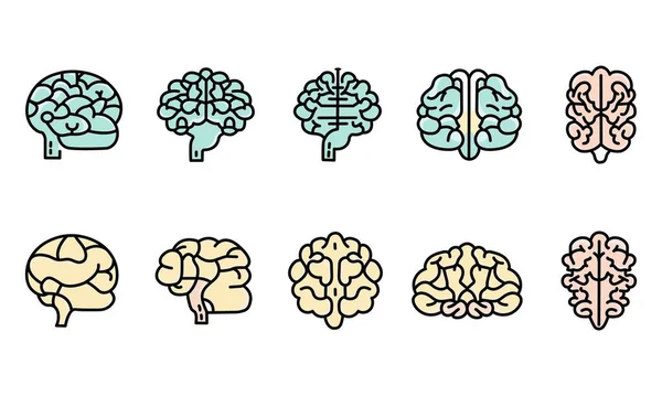 Vista Diversa Del Set Elementi Cerebrali Colorati — Vettoriale Stock
