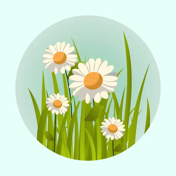 Cyan Arka Planında Çimenleri Olan Daisy Çiçekleri Boşluğu Kopyala — Stok Vektör