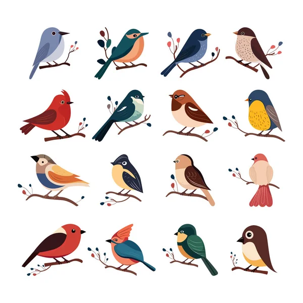 Différents Types Oiseaux Assis Sur Branche Florale Icône Set — Image vectorielle