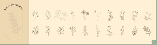 Conjunto Flores Folhas Elemento Estilo Doodle — Vetor de Stock