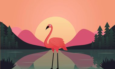 Yeşil Orman 'da Şirin bir Flamingo Su Kuşu ve Gün Doğumu veya Gün Batımında Dağ.