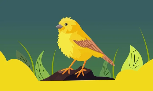 Mignon Safran Pinsons Oiseau Assis Sur Rocher Vert Jaune Herbe — Image vectorielle