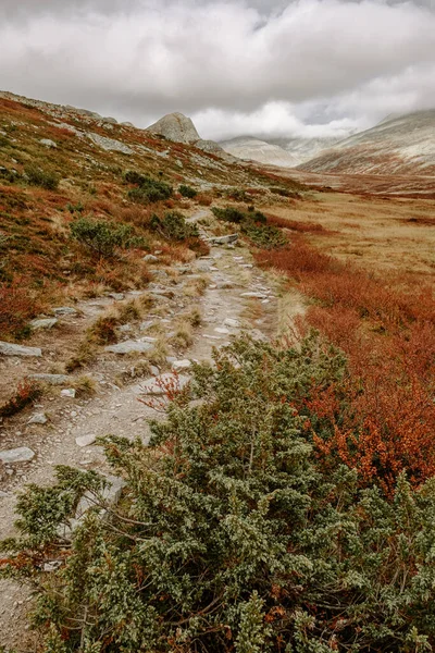 Paesaggio Montano Autunnale Del Parco Nazionale Delle Rondane Norvegia Sentiero — Foto Stock