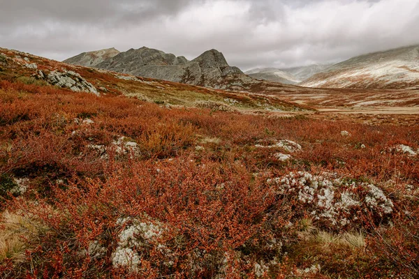 ノルウェーのロンダン国立公園の秋の山の風景 Smuksjoseter FjellstueからPeer Gynt Hyttaへの道 — ストック写真