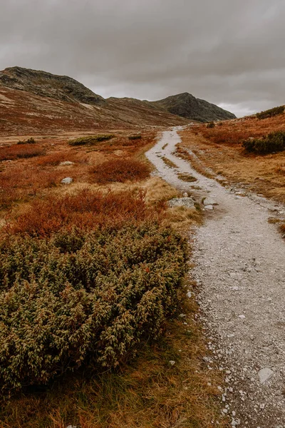 ノルウェーのロンダン国立公園の秋の山の風景 Smuksjoseter FjellstueからPeer Gynt Hyttaへの道 — ストック写真