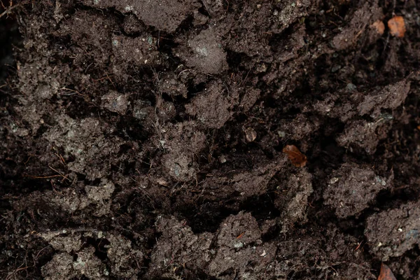 深色泥泞的土壤背景 肮脏的地面和秋天的叶子 — 图库照片