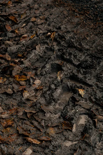 黑暗泥泞的道路背景 轮胎痕迹 肮脏的地面和秋天的树叶 — 图库照片