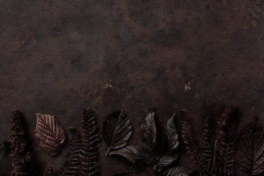 Koyu karamsar soluk sonbahar yaprağı arka plan, kahverengi sonbahar bitkileri çürüyor